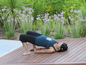 Figure 3: Setu Bandha Sarvangasana