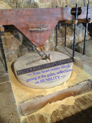 Reverse Warrior quote for article